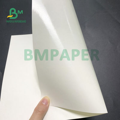 força de alta elasticidade de papel do copo revestido do PE do lado do dobro 210gsm+20gsm