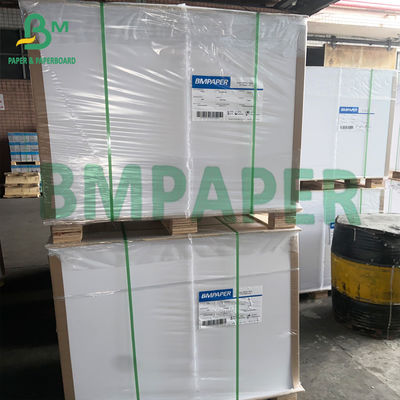 papel branco revestido poli Compostable do cartão 300gsm para bacias de sopa