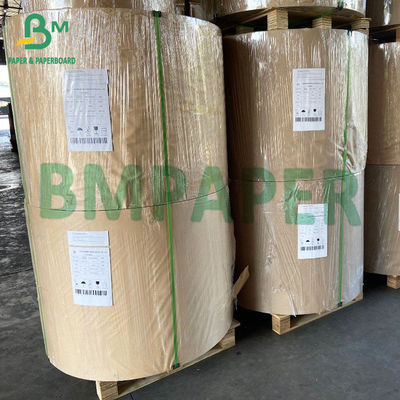 papel branco revestido poli Compostable do cartão 300gsm para bacias de sopa