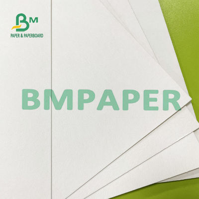 240 placa de papel de 250 G/M Polycoated Cupstock para bandejas secas do alimento