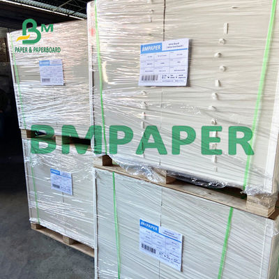 240 placa de papel de 250 G/M Polycoated Cupstock para bandejas secas do alimento