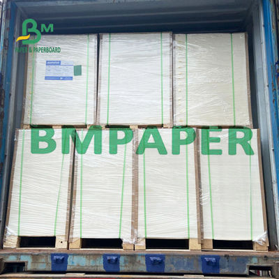 240 placa de papel de 250 G/M Polycoated Cupstock para bandejas secas do alimento