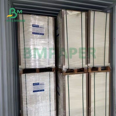 o PE da durabilidade 230gsm+15gsm revestiu o papel do estoque do copo para a bacia de sopa 560mm x 700mm