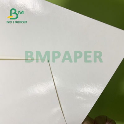 o PE da durabilidade 230gsm+15gsm revestiu o papel do estoque do copo para a bacia de sopa 560mm x 700mm