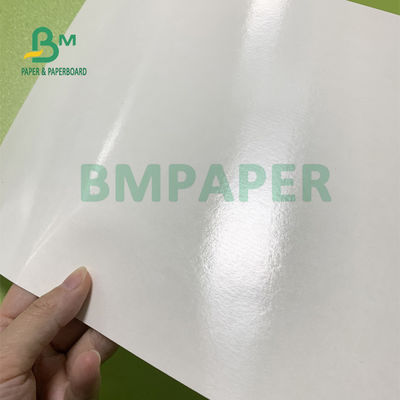 o PE da durabilidade 230gsm+15gsm revestiu o papel do estoque do copo para a bacia de sopa 560mm x 700mm