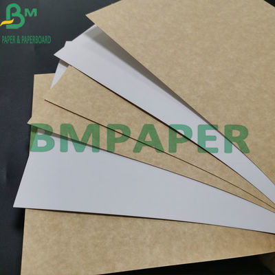 Branco do papel de embalagem de produto comestível da polpa 325gsm do Virgin revestido com o Brown para trás