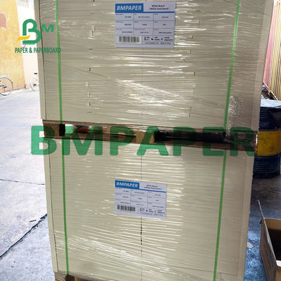 placa de Formable Polycoated Cupstock do PE 300gsm + 15g para o café quente