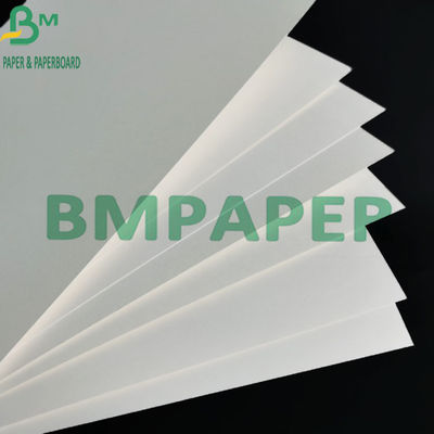 branco natural conservado em estoque da placa de papel do copo revestido do PE 260g + 15g para o copo de café
