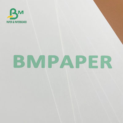 ideal branco de papel da placa do marfim FBB de 275g 325g 700mm para o direct mail