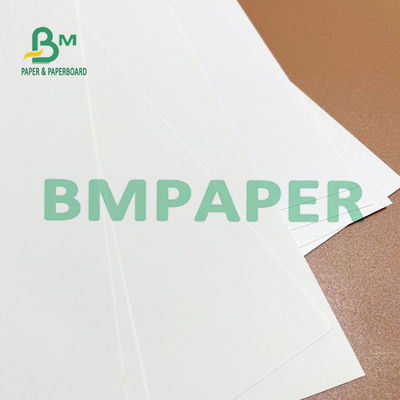 ideal branco de papel da placa do marfim FBB de 275g 325g 700mm para o direct mail