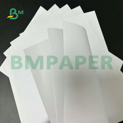 Formato largo Woodfree sem revestimento 55gsm de papel 60gsm 65gsm para a impressão do texto de escola