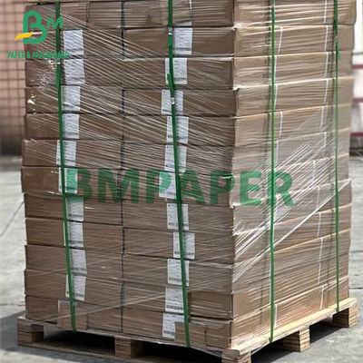 Papel de plotador CAD Rolls revestido branco 5rolls pela caixa 80gsm 914mm X 50yards