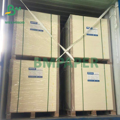 20PT 40PT 60PT Tabuleiro de estofado de cerveja Papel absorvente branco não revestido para tabuleiro de água potável
