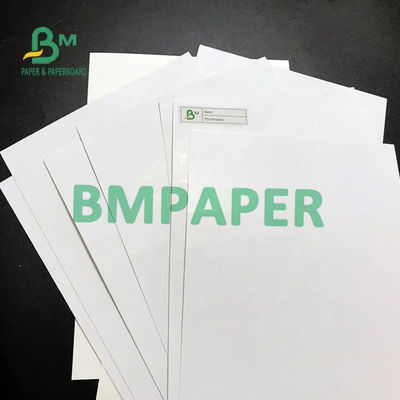 Blister SBS Papelão Marfim Folha C1S 275G 300G 320G 350G 400G 425G