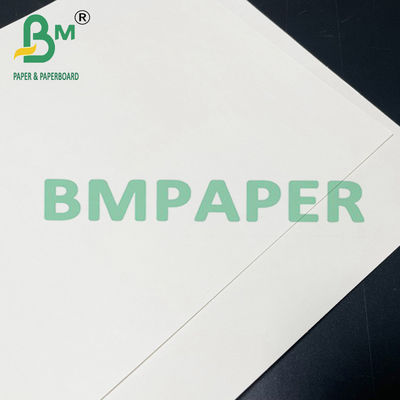 papel seguro de Cupstock do alimento de 190gsm 200gsm 210gsm para o alimento quente