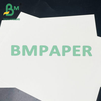 papel seguro de Cupstock do alimento de 190gsm 200gsm 210gsm para o alimento quente
