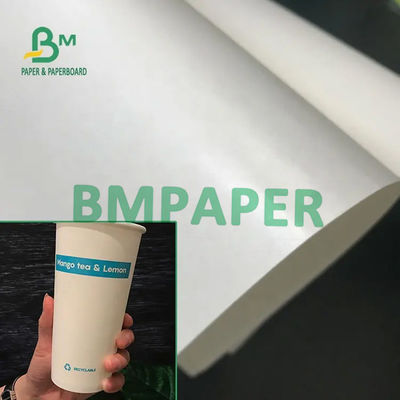 Produto comestível do estoque branco revestido poli do copo 230g + 15g de 210/placa de papel Rolls para o papel da bacia de papel do copo
