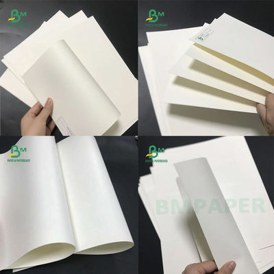 Produto comestível do estoque branco revestido poli do copo 230g + 15g de 210/placa de papel Rolls para o papel da bacia de papel do copo