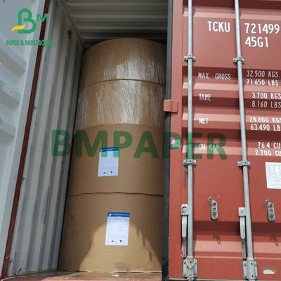 Produto comestível do estoque branco revestido poli do copo 230g + 15g de 210/placa de papel Rolls para o papel da bacia de papel do copo