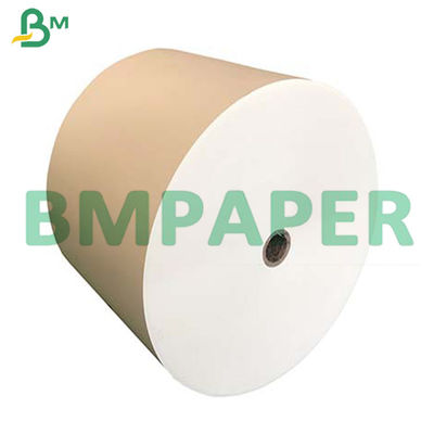 do copo revestido da bacia do macarronete do produto comestível do PE 210g + 15g placa de papel conservada em estoque no rolo enorme