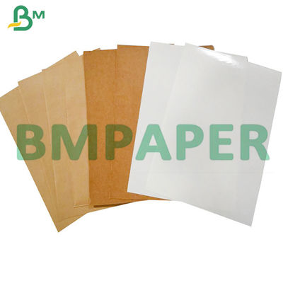do copo revestido da bacia do macarronete do produto comestível do PE 210g + 15g placa de papel conservada em estoque no rolo enorme