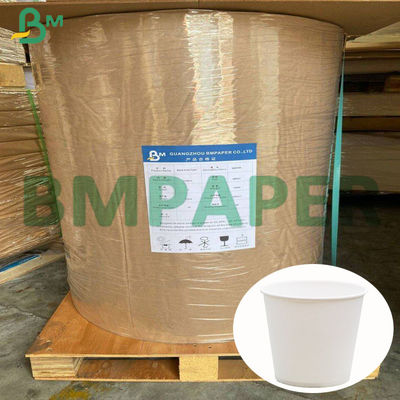 do copo revestido da bacia do macarronete do produto comestível do PE 210g + 15g placa de papel conservada em estoque no rolo enorme