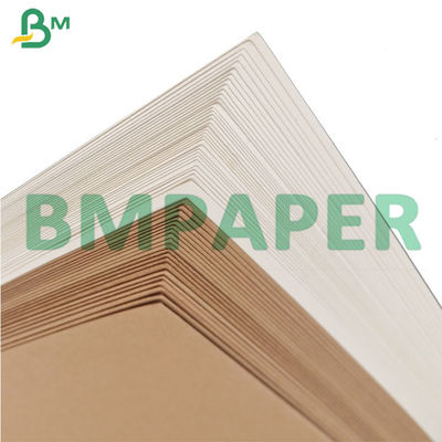 do copo revestido da bacia do macarronete do produto comestível do PE 210g + 15g placa de papel conservada em estoque no rolo enorme