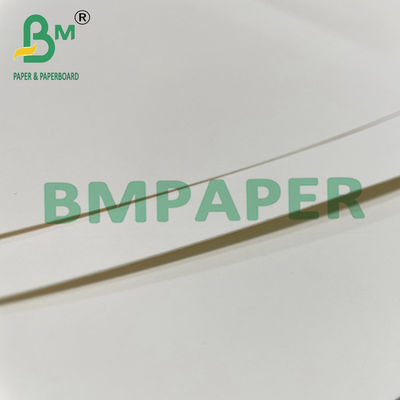 180gsm + 15g PE Macarrão Tigela Copo Estoque Papel Placa para Comida Quente