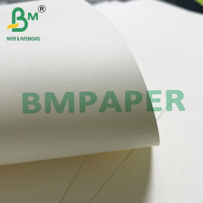 180gsm + 15g PE Macarrão Tigela Copo Estoque Papel Placa para Comida Quente