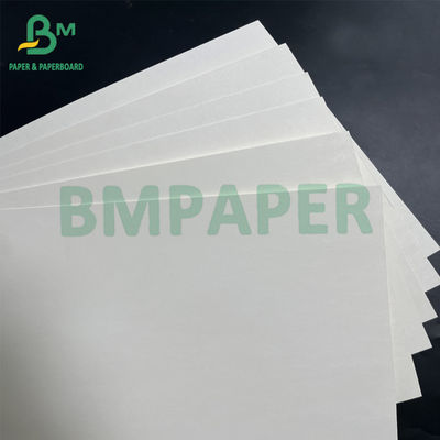 o único PE 180gsm + 18gsm lateral revestiu o papel branco do copo rola de papel