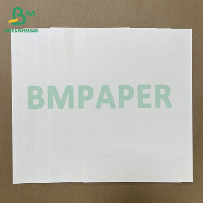 o único PE 180gsm + 18gsm lateral revestiu o papel branco do copo rola de papel
