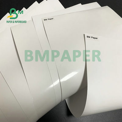 O molde branco super do brilho 80gsm revestiu o rolo enorme de papel de 1020mm 1365mm