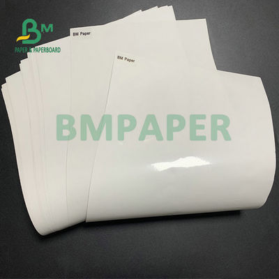 O molde branco super do brilho 80gsm revestiu o rolo enorme de papel de 1020mm 1365mm