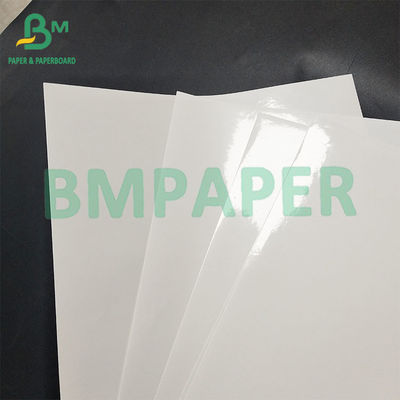 Papel adesivo para bebidas, resistente à humidade, de alta resistência, imprimível, de etiquetas de cerveja