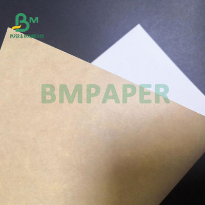 300gm Tabuleiro CKB Branco Marrom Para embalagem de alimentos congelados Boa rigidez 74 x 106cm