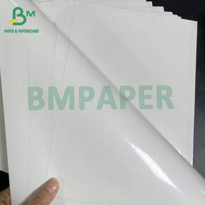 Papel de etiqueta de cerveja de resistência à humidade revestido de um lado e à prova d' água de 80 gm