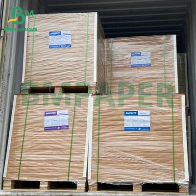 275gm Caixas de embalagem de alimentos congelados revestidas de papel Placa de alimentos revestida de PE