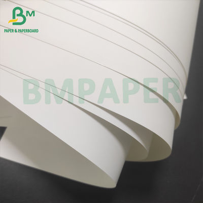 200um Papel de cartaz Satih Matte Finish Impermeável Resistente a rasgos
