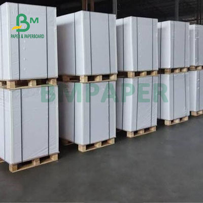 40 g/m2 Papel de Proteção contra Óleo para Embalho de Hambúrguer à prova de microondas 500 x 335 mm