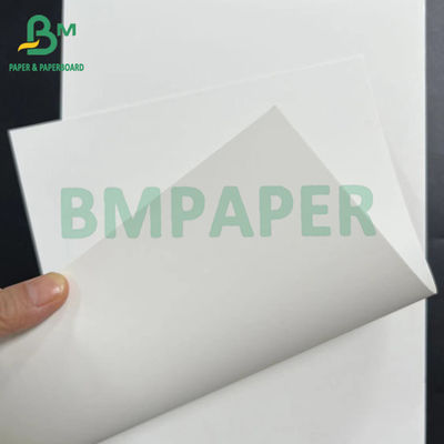 18pt suave Boa rigidez Árvore livre de cartão branco revestido de um lado