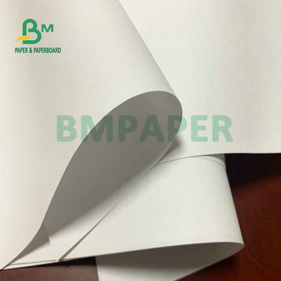 Papel sem madeira para composição ou livros temáticos