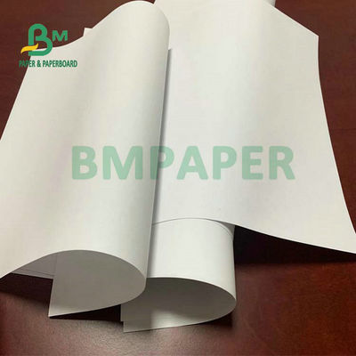 Papel sem madeira para composição ou livros temáticos