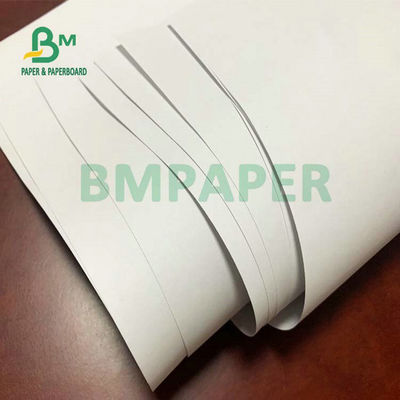Papel sem madeira para composição ou livros temáticos