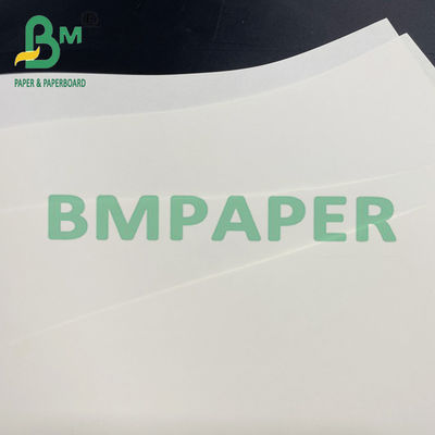 Papel de impressão cremoso de cor não revestido para livros escolares