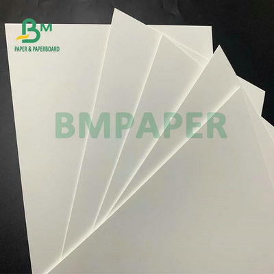 C1S Grade Food FBB Board 270g 325g 350g Para fazer caixa de hambúrguer