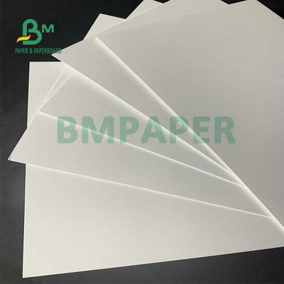 C1S Grade Food FBB Board 270g 325g 350g Para fazer caixa de hambúrguer