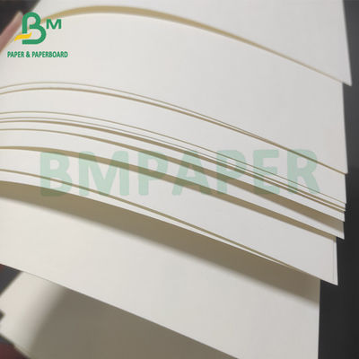 Caixa de almoço revestida com PE único Branco Branco Para embalagens de alimentos