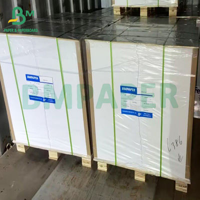 Caixa de almoço revestida com PE único Branco Branco Para embalagens de alimentos