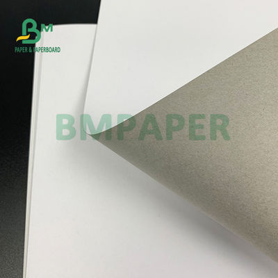 400gm 450gm C1S Grey Back Top Grade Paper Board para sapatos Caixa 22 x 26 polegadas