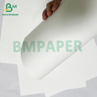 Material de carta sintética PET impermeável liso de 180mic